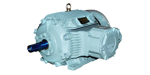 Explosion Proof Motor