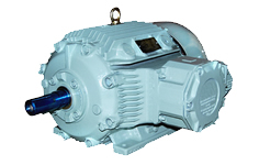 Explosion Proof Motor